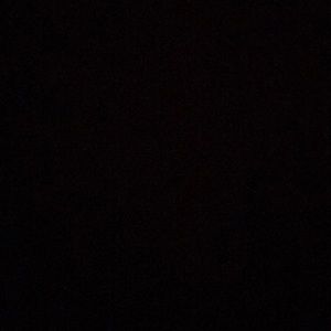 Meet your Posher, Bailey